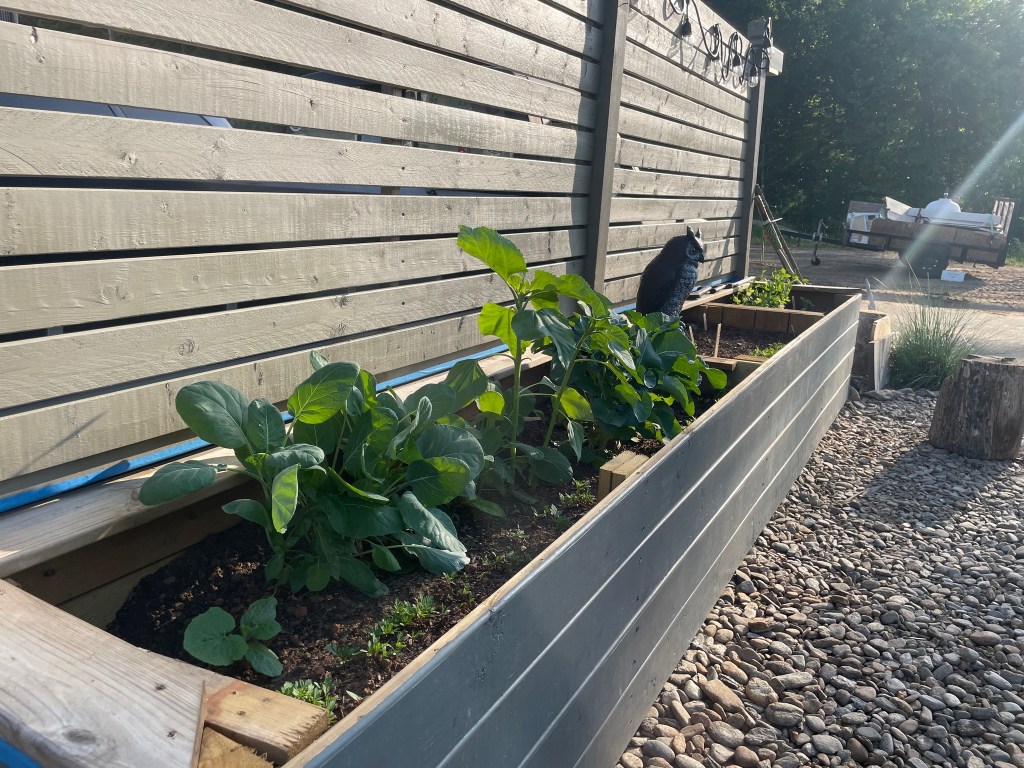 Plant box with plants in a residential neighborhood.